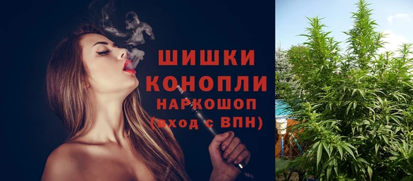 СК Заволжск