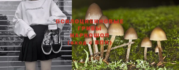 не бодяженный Зеленодольск